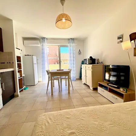 Coquet A : Climatise, Pres Du Parc, Terrasse, Proche Et Port - Fr-1-604-51 Daire